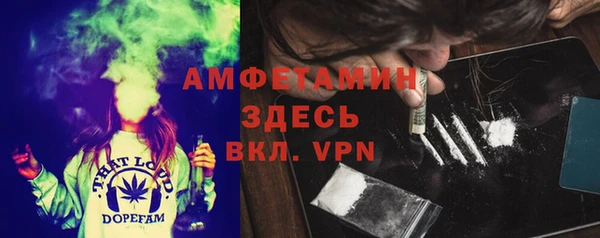 spice Бородино