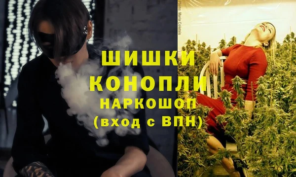 ПСИЛОЦИБИНОВЫЕ ГРИБЫ Бугульма